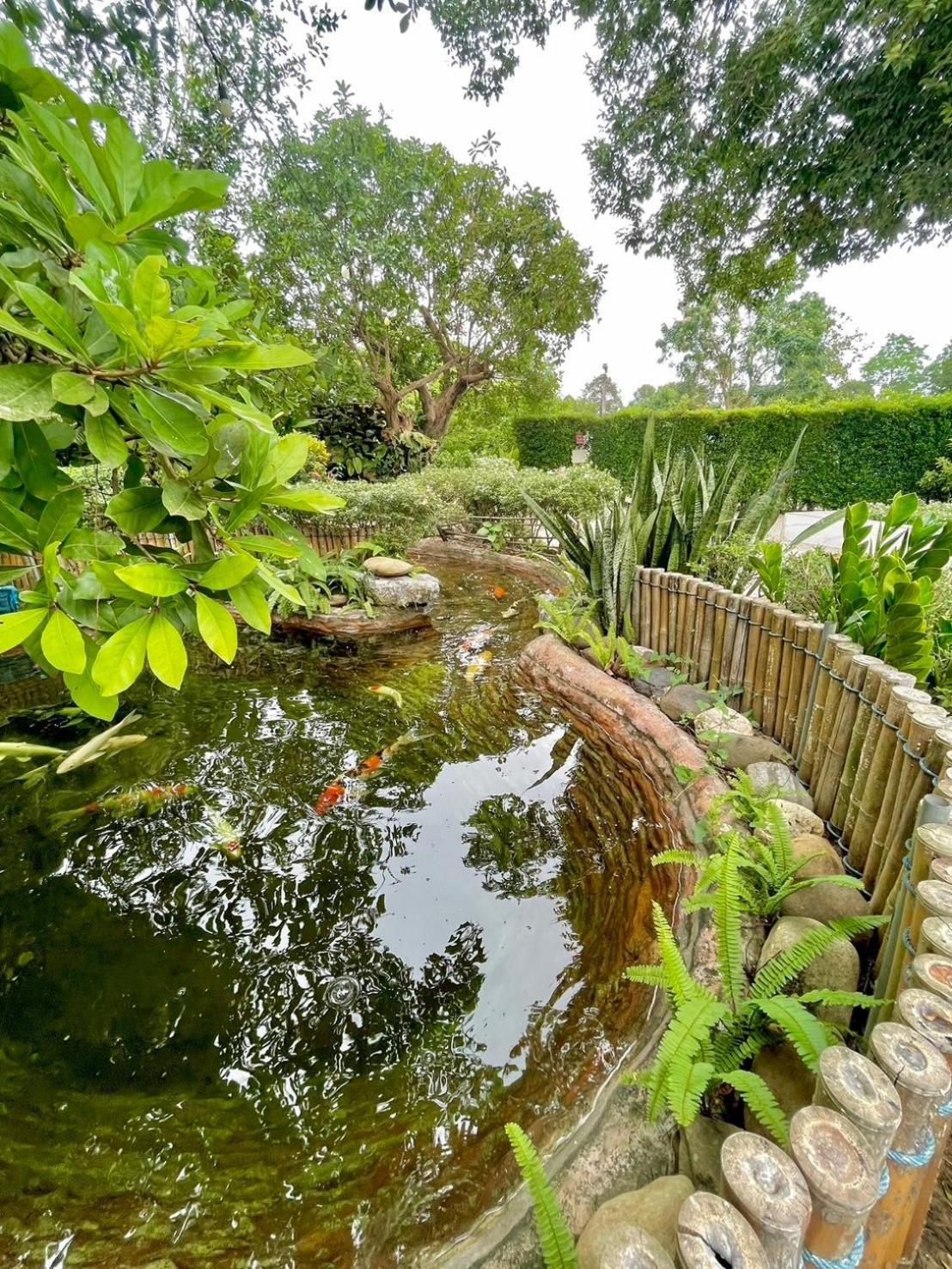 Resort River Valley แอทน่าน Nan